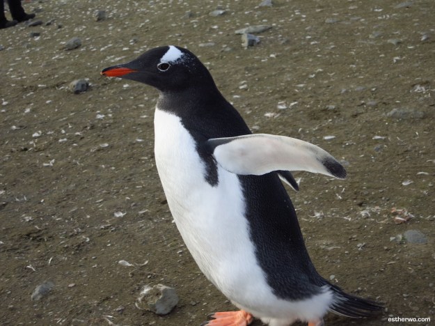 Running around again. See what I mean?